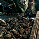 Image for article titled The Forgotten Black Fishermen in the Gulf Oil Spill
